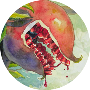 Thumbnail of a pomegranate split open like a mouth